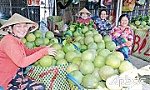 Vĩnh Kim: Sắc diện xã nông thôn mới nâng cao