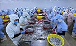 EVFTA - Hiện thực và kỳ vọng