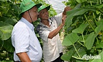 Tiên phong phát triển các mô hình nông nghiệp công nghệ cao