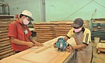 Xuất khẩu vào Hoa Kỳ tăng hạng