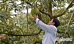 Bài cuối: Dồn lực ứng phó