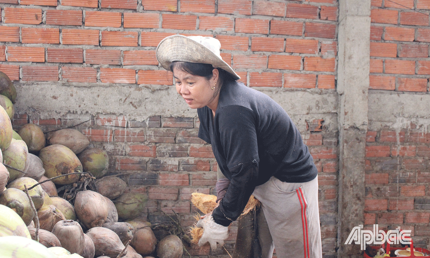 Chị Nguyễn Thị Hồng Đào, nhà ở xã Xuân Đông hai mắt đã mù thế nhưng một ngày chị có thể lột khoảng 700 đến 800 trái.