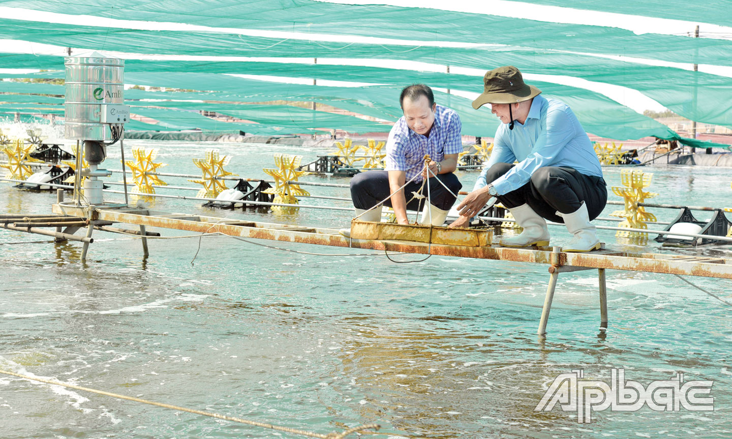 Mô hình nuôi tôm công nghệ cao của Công ty TNHH Nuôi trồng thủy sản Tuấn Hiền, xã Phú Tân.