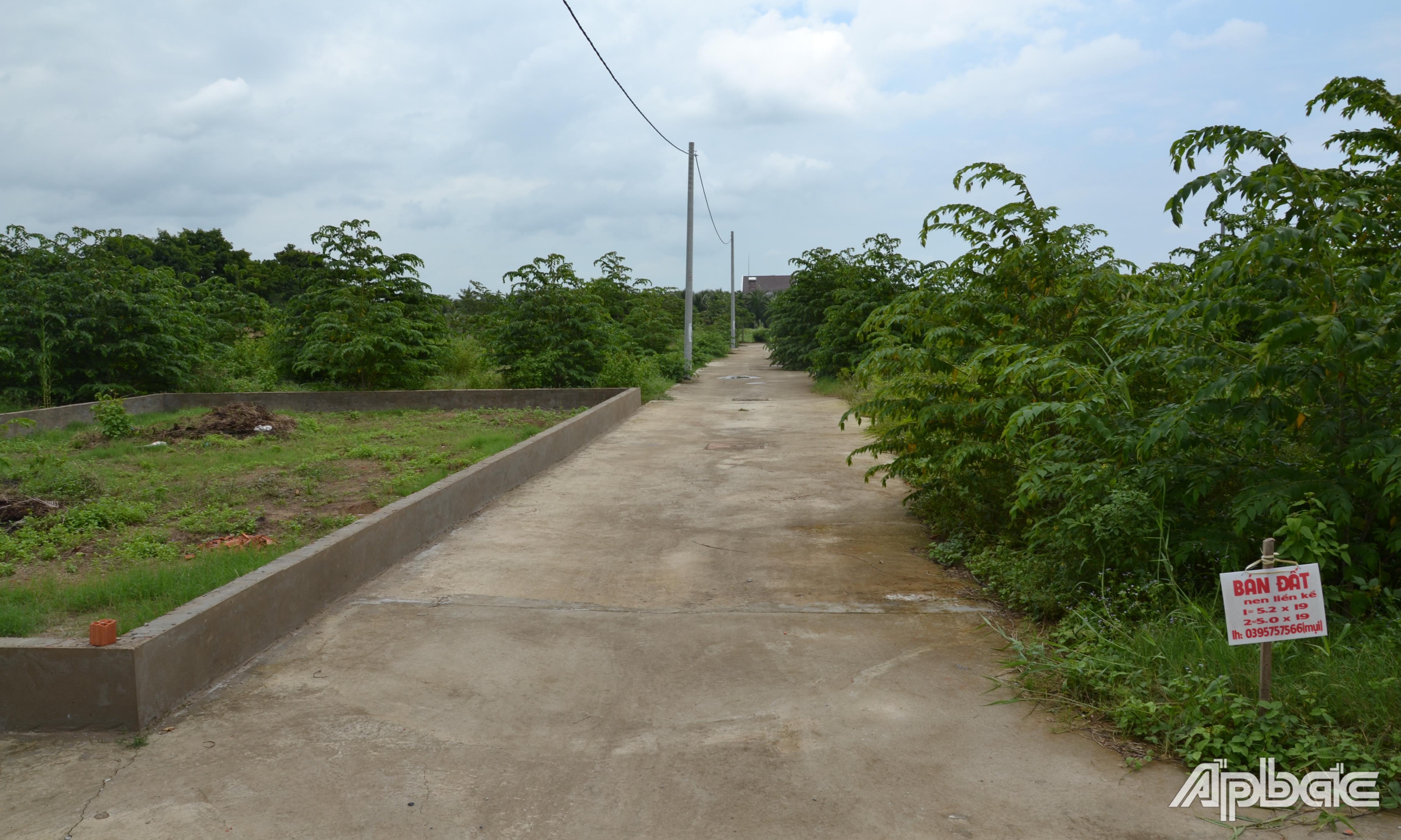 Tháng 9-2019, UBND tỉnh có công văn về việc tạm dừng phân lô, bán nền.