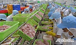 Xuất khẩu chật vật