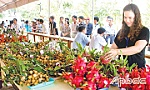 Tìm đầu ra cho nông sản