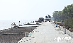 Tất bật trên công trình đê biển Gò Công