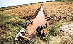 Xâm nhập mặn ở đồng bằng sông Cửu Long tăng dần từ ngày 11-1