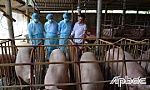 Chuyển hướng chăn nuôi thời dịch bệnh