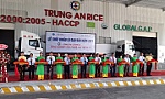 Xuất khẩu lô gạo đầu tiên năm 2021 sang Singapore và Malaysia