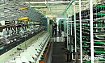 Gò Công Đông: Tập trung tái cấu trúc công nghiệp