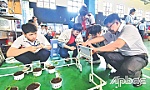 Ươm mầm đam mê nghiên cứu khoa học