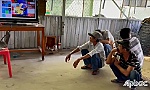 Triệt xóa tụ điểm đá gà, bắt 11 đối tượng