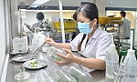 Tự tin tiến bước