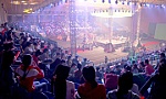 Cuộc đua tiền tỷ của điện ảnh Việt