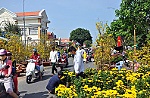Các hoạt động vui chơi, giải trí dịp Tết Nguyên đán Tân Sửu ở Tiền Giang