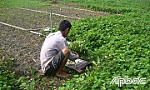 Hội Nông dân Châu Thành: Quan tâm chăm lo đời sống hội viên