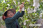 Chi hội trưởng phụ nữ 