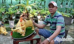 Độc lạ cây, trái tết