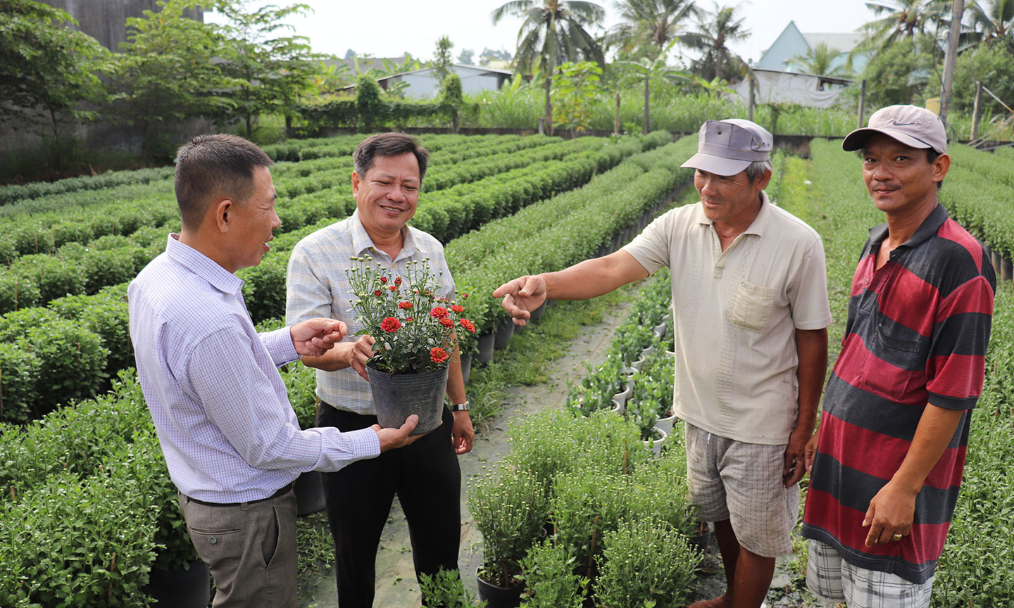 Lãnh đạo Hội Nông dân TP.  Mỹ Tho thăm hỏi tình hình trồng hoa chuẩn bị phục vụ tết của các HVND  tại phường 9, TP. Mỹ Tho.