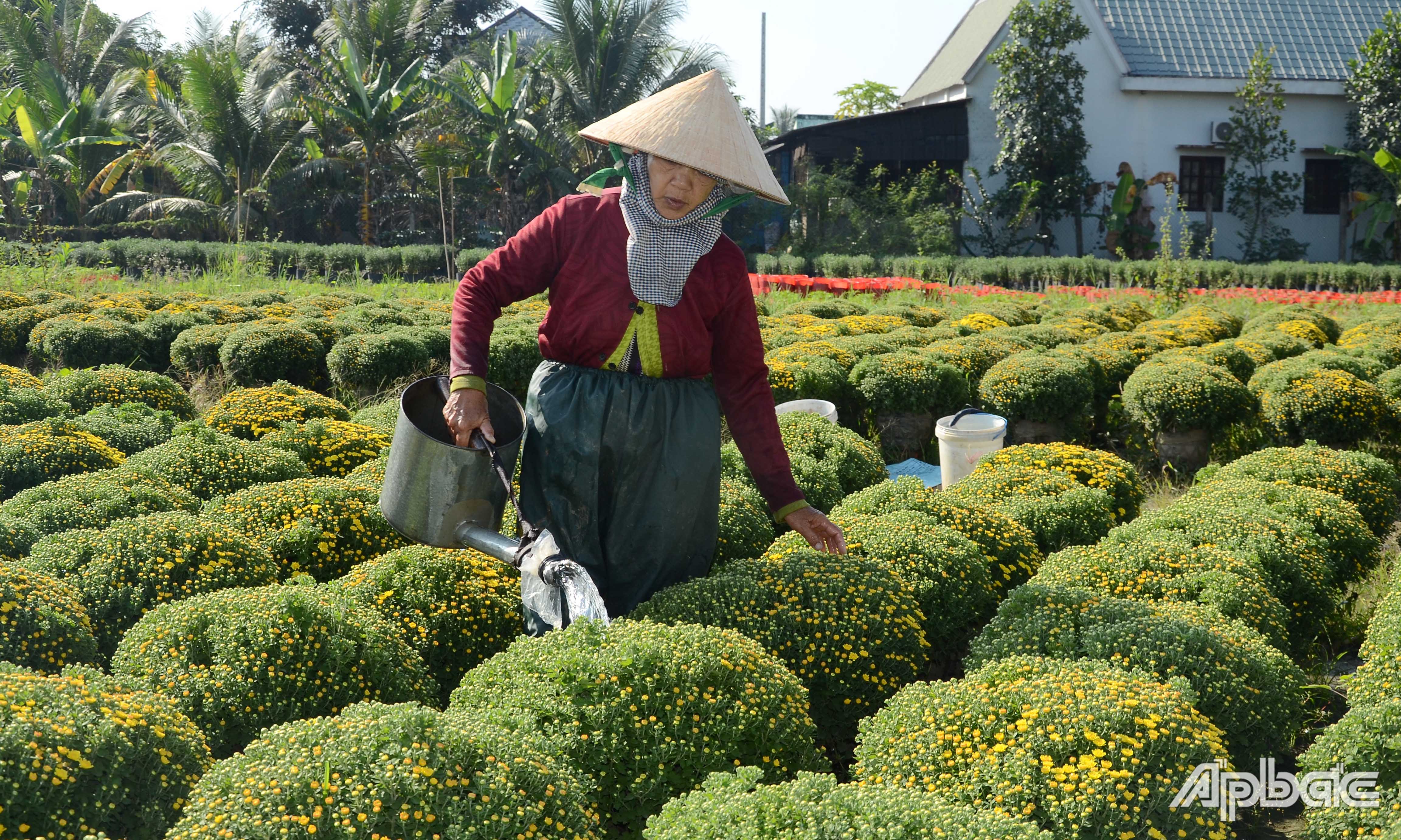 Bà Nguyễn Thị Năm chăm sóc vườn hoa của gia đình.