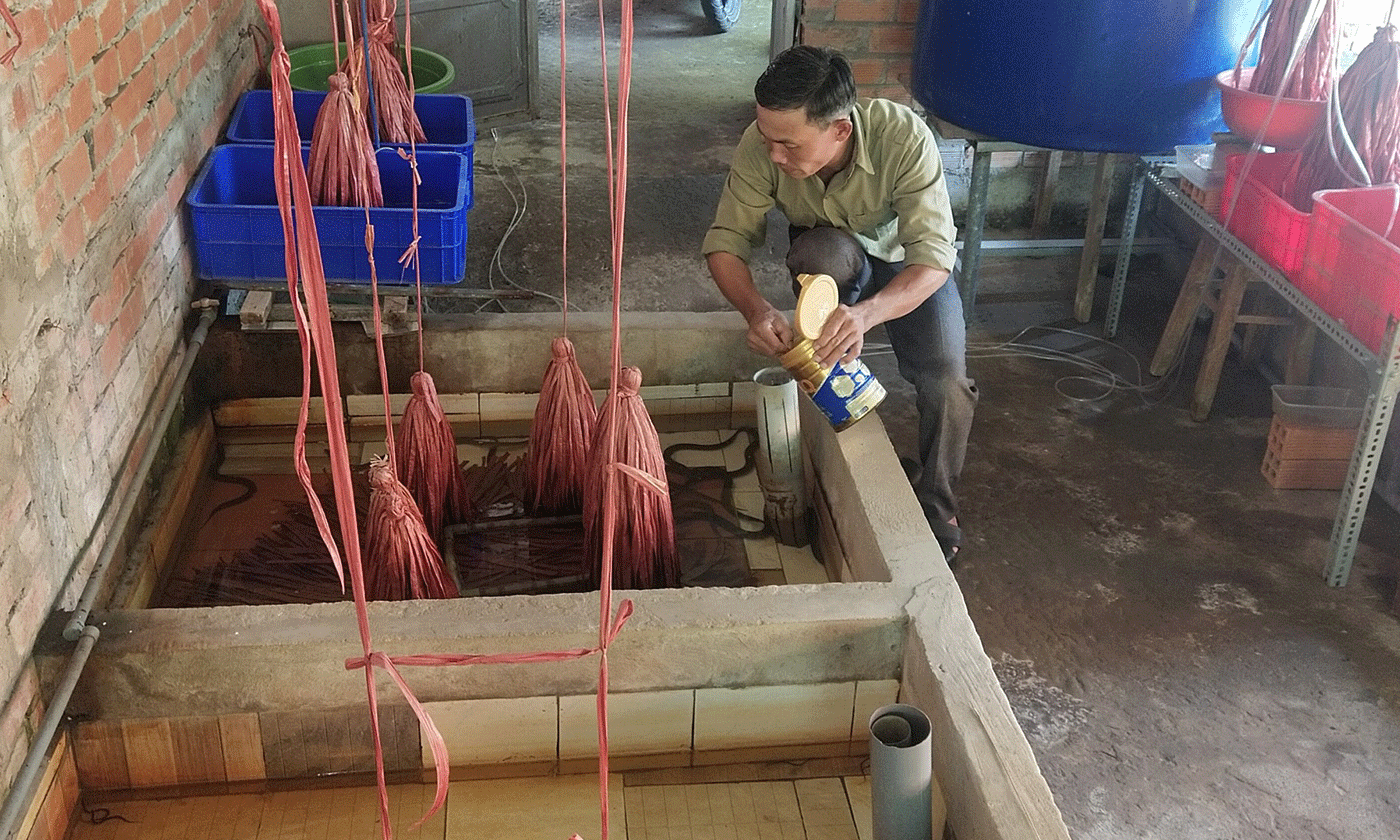 Mô hình nuôi lươn không bùn của anh Hồng.