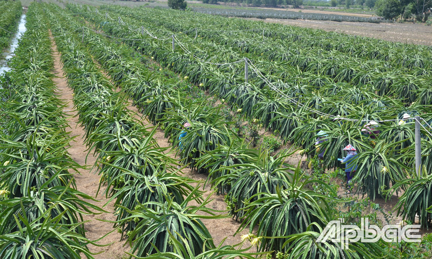 Nông nghiệp được xem là “trụ đỡ” của nền kinh tế.