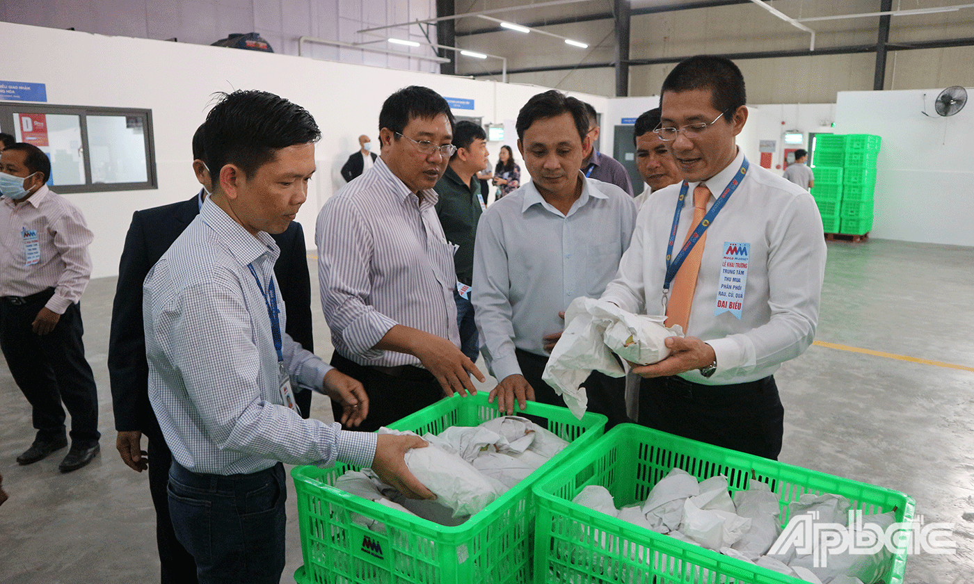 Các đại biểu tham quan Trung tâm thu mua và phân phối rau, củ, quả 