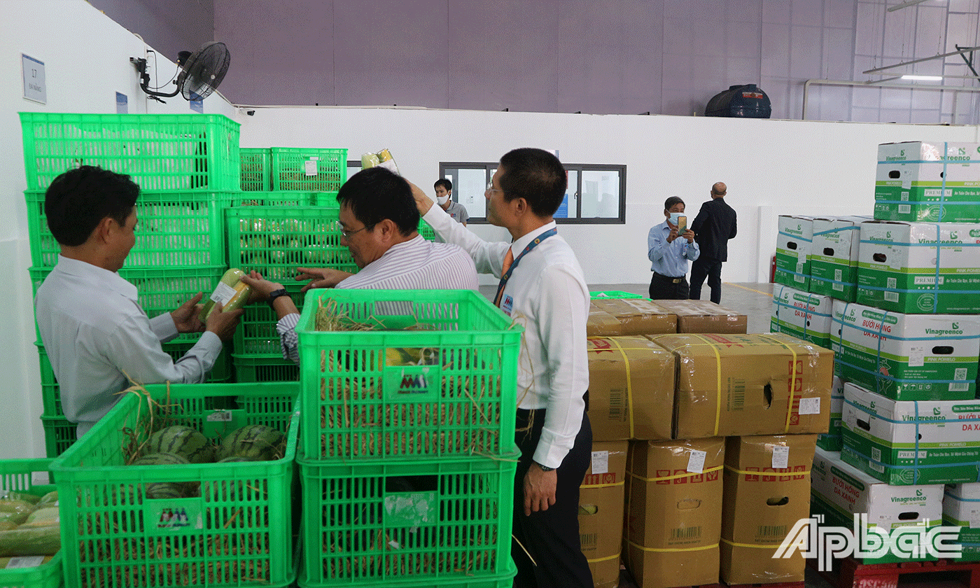 Các đại biểu tham quan Trung tâm thu mua và phân phối rau, củ, quả 