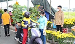 Chợ hoa Xuân Tân Sửu TP. Mỹ Tho: Sức mua tăng dần
