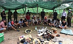 Triệt phá trường gà tại huyện Chợ Gạo