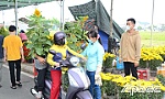Chợ hoa xuân Mỹ Tho: Kỳ vọng vào giờ cuối