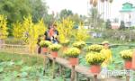 Tiền Giang: Tổ chức các hoạt động Tết Tân Sửu trong điều kiện phòng, chống dịch Covid-19