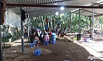 Triệt phá trường gà, bắt giữ 21 đối tượng
