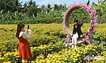 Vườn hoa Mãn Đình Hồng khoe sắc đón khách tham quan