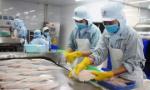Triển vọng trong xuất khẩu nông, lâm, thủy sản