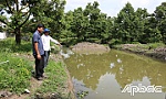Huyện Cai Lậy: Chủ động các biện pháp ­phòng, chống hạn, mặn