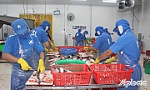 Doanh nghiệp  và kỳ vọng trong năm mới