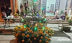 Tết với những người phòng, chống dịch Covid-19
