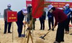 Phó Chủ tịch nước Đặng Thị Ngọc Thịnh phát động Tết trồng cây
