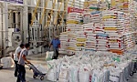 Dự báo xuất khẩu gạo năm 2021 vẫn duy trì tín hiệu lạc quan
