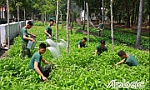 Tăng gia sản xuất, nâng cao đời sống cán bộ, chiến sĩ