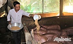 Chuyện về nông dân vượt khó, làm giàu