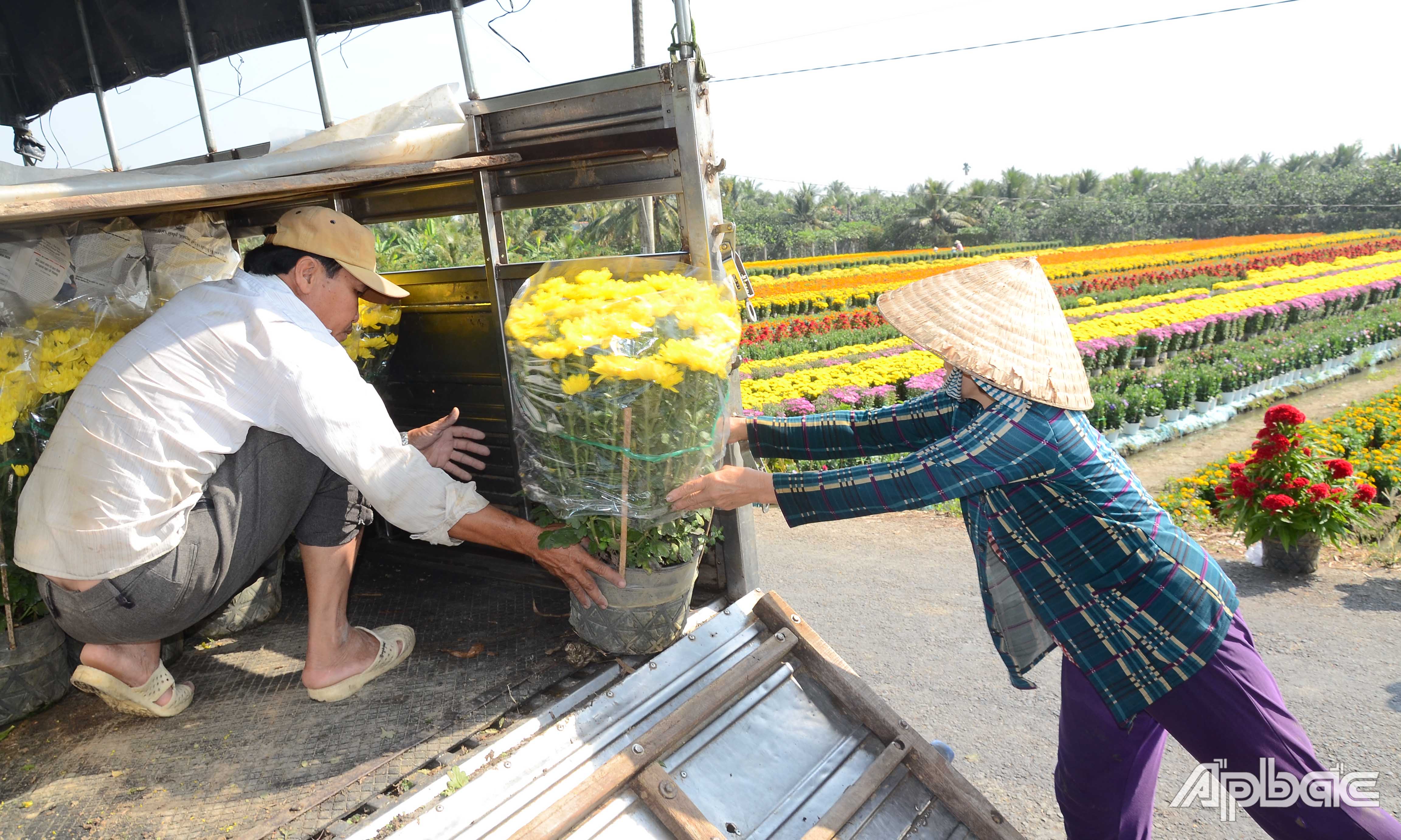Đưa hoa lên phố.