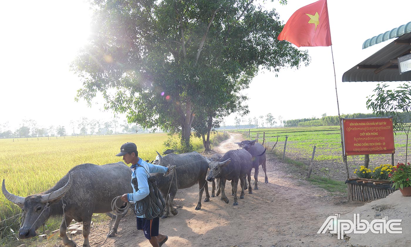 Chiều ở khu vực đường biên giới bình yên.