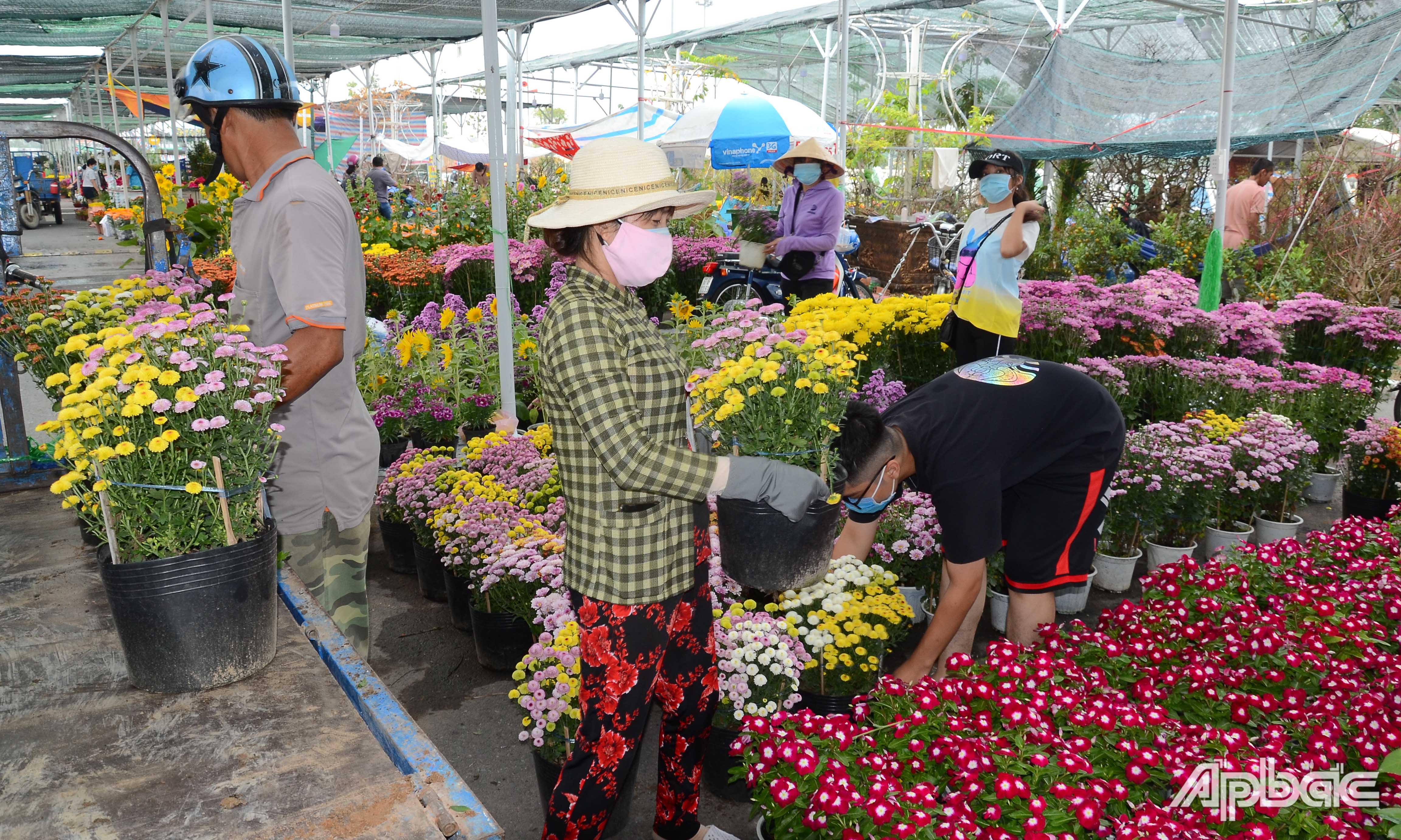 Vận chuyển hoa tết để bán tại lô đã đăng ký.