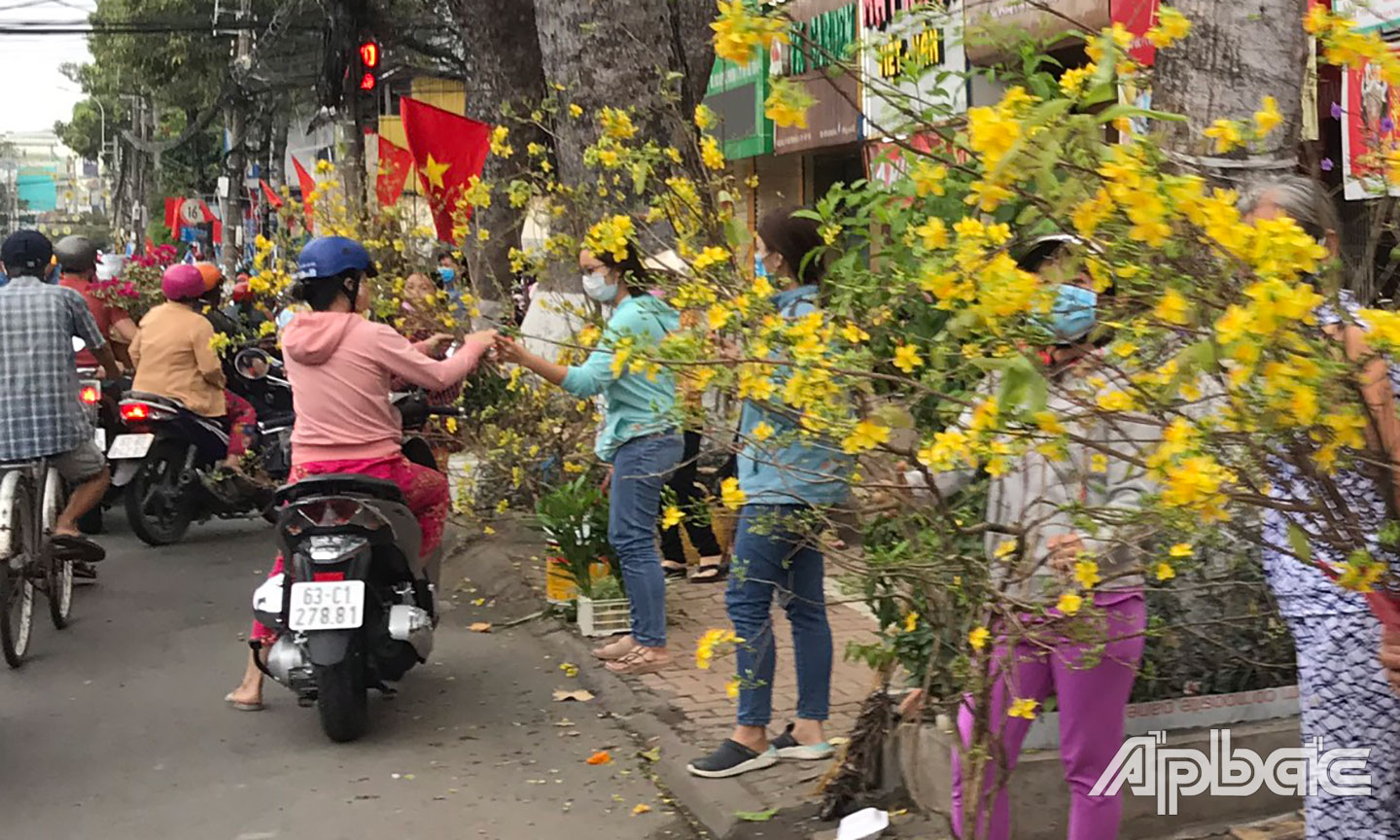 Những cành mai vàng cho ngày 30 Tết.