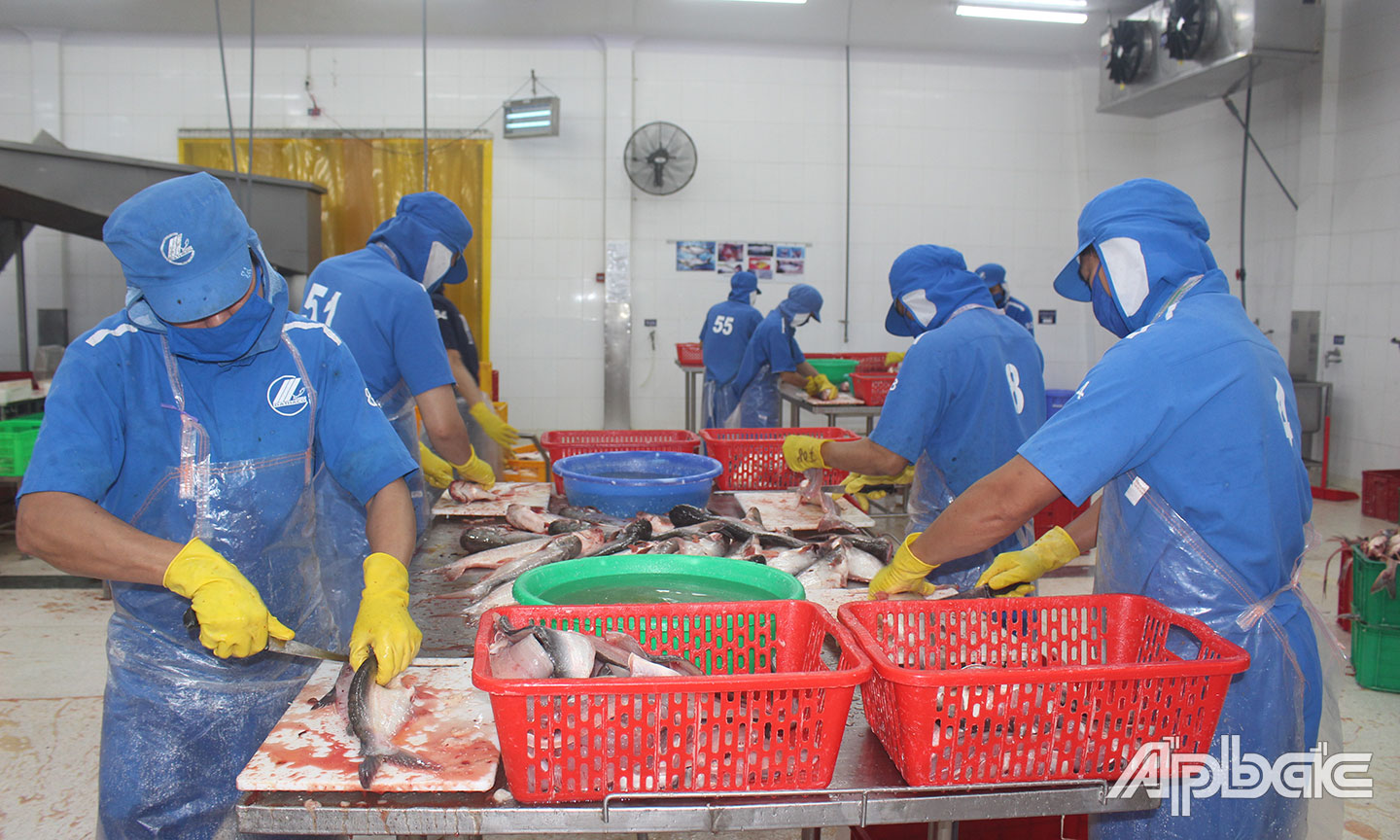 Trong khó khăn, nhiều DN đã cố gắng vượt khó để ổn định sản xuất, kinh doanh.