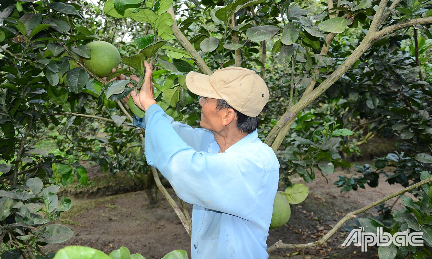 Các xã, phường đã đẩy mạnh vận động người dân chủ động trữ nước, giữ ẩm cho cây để bảo vệ sản xuất.