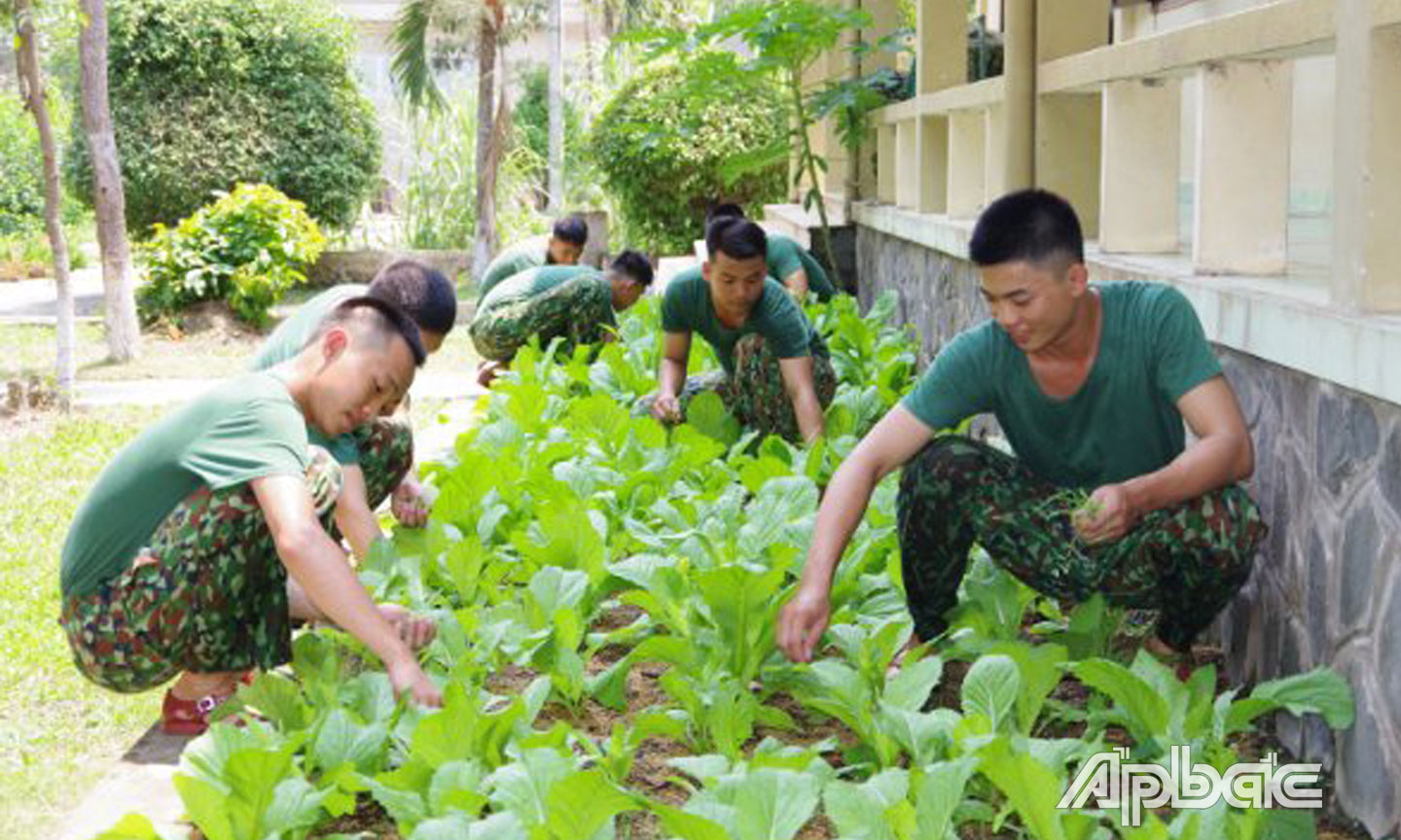 Cán bộ, chiến sĩ Trung đoàn Bộ binh 924 tích cực TGSX, nhằm cải thiện đời sống cho bộ đội. ảnh: THANH LÂM